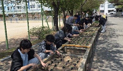 2026 친환경 텃밭 모종 심기